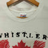 ヘインズ Hanes 80-90s WHISTLER BLACK COMB カナダ スキー場 クルーネックTシャツ メンズ import:M