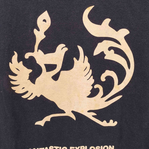 ユナイテッドスポーツ UNITED SPORTS 90s USA製 ジャパンディスコ・テクノグループ クルーネックTシャツ 昭和ハウス メンズ import:L