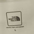 ザノースフェイス THE NORTH FACE S/S Small Box Logo Tee ショートスリーブスモールボックスロゴティー メンズ import:L