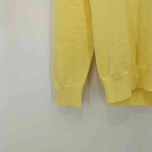 ランズエンド LANDS END Vネックニット メンズ import:M