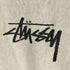 ステューシー Stussy STOCK APPLIQUE HOODIE STORM メンズ JPN:XL