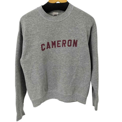 フルーツオブザルーム FRUIT OF THE LOOM 00S プリントクルーネックスウェット CAMERON メンズ import:M