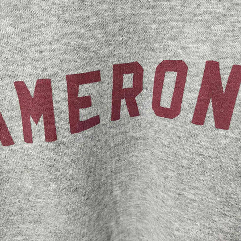 フルーツオブザルーム FRUIT OF THE LOOM 00S プリントクルーネックスウェット CAMERON メンズ import:M