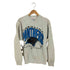 ヘインズ Hanes USA製 CAROLINA PANTHERS メンズ import:L