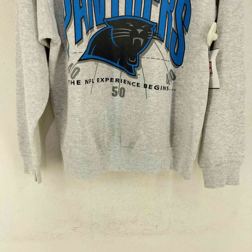 ヘインズ Hanes USA製 CAROLINA PANTHERS メンズ import:L