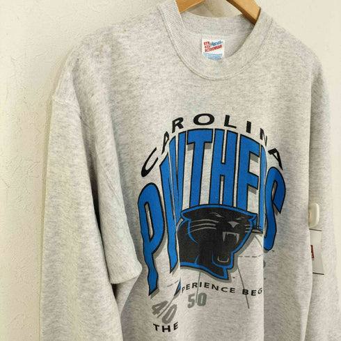 ヘインズ Hanes USA製 CAROLINA PANTHERS メンズ import:L