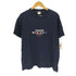 90-00S DELTAボディ HAWAII SPORTSWEAR U.S.A 国旗ロゴ S/S Tシャツ メンズ import:L