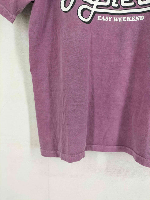ヒステリックグラマー HYSTERIC GLAMOUR EASY WEEKEND ガーメントダイ ヒスガール Tシャツ メンズ JPN:M