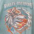 ハーレーダビッドソン HARLEY-DAVIDSON ©1996 H・D シングルステッチ 両面プリント半袖Tシャツ Wolf Eagle Tshirt メンズ