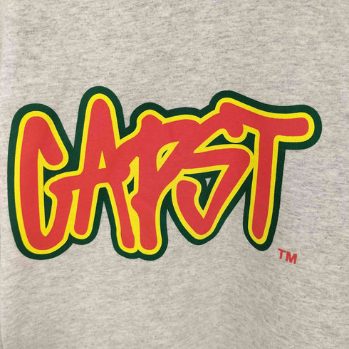 フロントプリント クルーネックスウェット メンズ 2XL