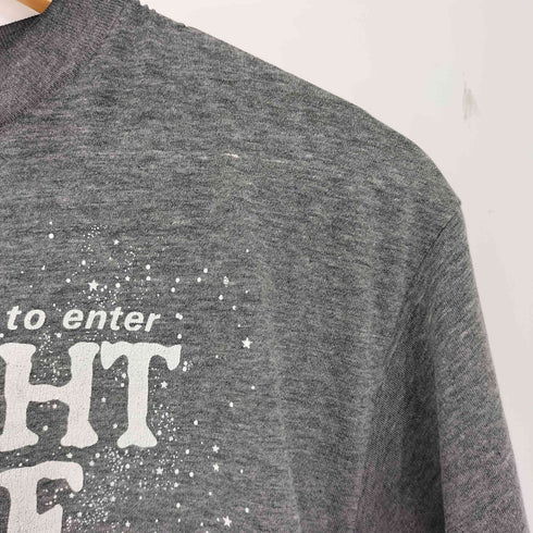 ヘインズ Hanes USA製 US SFテレビドラマ クルーネックTシャツ メンズ import:L