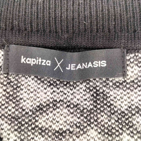 ジーナシス JEANASIS KAPITZA Vネック 総柄 ニット セーター レディース