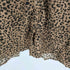 ジュエティ jouetie 22AW ラッフルフリルカラーブラウス レディース JPN:M