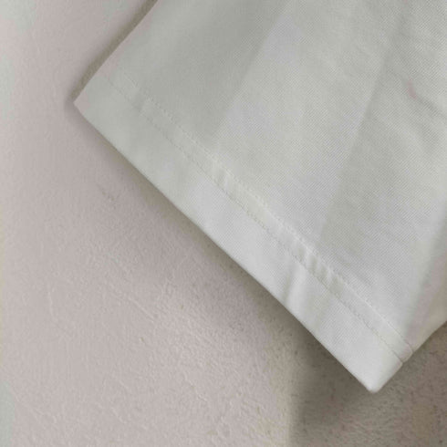 ラコステ LACOSTE ワニ刺繍 鹿の子地Tシャツ メンズ import:L