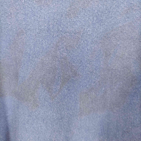チャンピオン Champion 90S MADE IN USA 刺繍タグ REVERSE WEAVE 目無しスウェット メンズ import:L 14-16