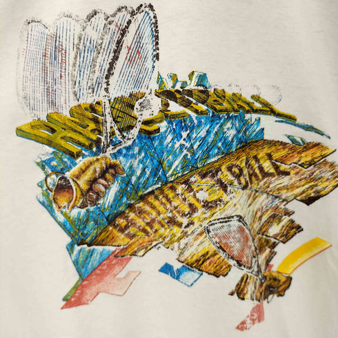 ヘインズ Hanes 80S USA製プリントTシャツ シングルステッチ メンズ import:L