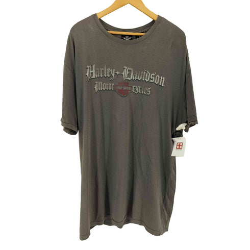 ハーレーダビッドソン HARLEY-DAVIDSON スパイダーウェブ オールドイングリッシュ クルーネックTシャツ メンズ import:XL