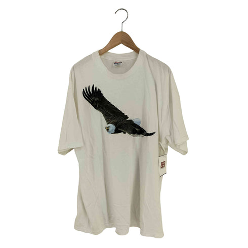 ヘインズ Hanes Christopher Walden 00S プリントTシャツ メンズ import:XL