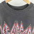 RockandRoll ボディ バンド ツアー アニマル リプリント Tシャツ シングルステッチ メンズ import:L