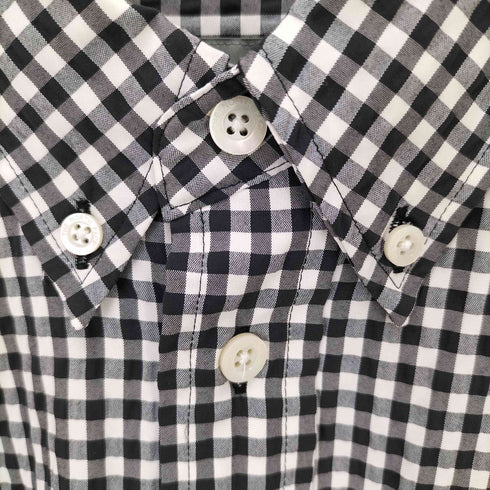 ザノースフェイス THE NORTH FACE L/S Hidden Valley Shirt ギンガムチェック ボタンダウンシャツ メンズ import:L