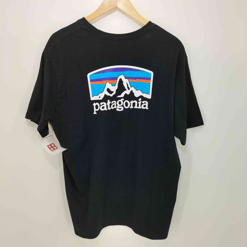 パタゴニア patagonia 21SS フィッツロイ ホライゾンズ レスポンシビリティ メンズ L