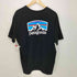 パタゴニア patagonia 21SS フィッツロイ ホライゾンズ レスポンシビリティ メンズ L