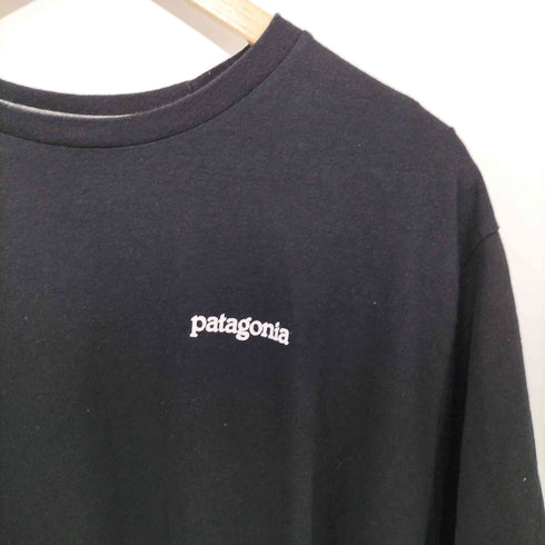 パタゴニア patagonia 21SS フィッツロイ ホライゾンズ レスポンシビリティ メンズ L