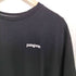 パタゴニア patagonia 21SS フィッツロイ ホライゾンズ レスポンシビリティ メンズ L