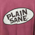 ジャージーズ JERZEES 90S~00S USA製 PLAIN SANEプリント S/S Tシャツ メンズ JPN:XL