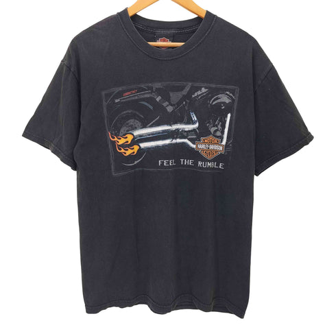 ハーレーダビッドソン HARLEY-DAVIDSON hanes beefy 総柄プリントS/S tee メンズ L
