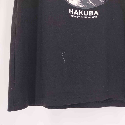 ザノースフェイス THE NORTH FACE HAKUBA 雪山 プリント S/S Tシャツ メンズ import:L