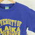 チャンピオン Champion 00S ECO FLEECE UNIVERSITY OF ALASKA FAIRBANKS カレッジロゴ 裏起毛 スウェット メンズ import:S