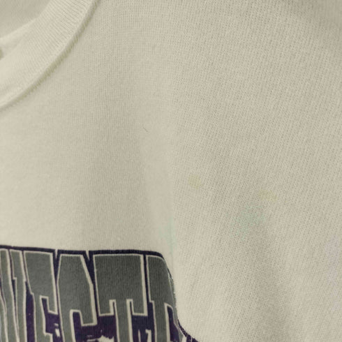 タルテックス TULTEX 90S USA製 NORTHWESTERN WILDCATS カレッジロゴ アメリカンフットボール プリント 裏起毛 スウェット メンズ 2XL