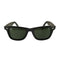 レイバン Ray-Ban ORIGINAL WAYFARER メンズ 50口22