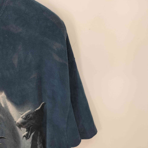 ザマウンテン the mountain ドラゴンが守る城Tシャツ ドラゴン 龍 メンズ JPN:XL