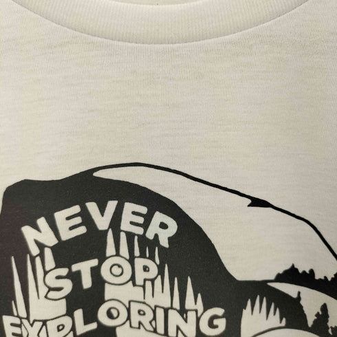 ザノースフェイス THE NORTH FACE ビッグロゴプリントTシャツ メンズ JPN:M