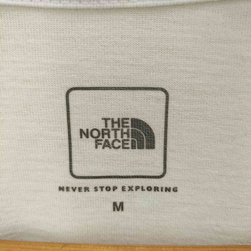 ザノースフェイス THE NORTH FACE ビッグロゴプリントTシャツ メンズ JPN:M