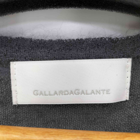 ガリャルダガランテ GALLARDAGALANTE モヘヤヘンリーネックニット レディース F