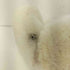 アグ UGG SHEEPSKIN HEADBAND EARMUFF レディース