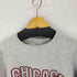 チャンピオン Champion 90S 刺繍タグ メキシコ製 USA製 REVERSE WEAVE クルーネックスウェット リバースウィーブ 三段プリント カプセル メンズ JPN:XL