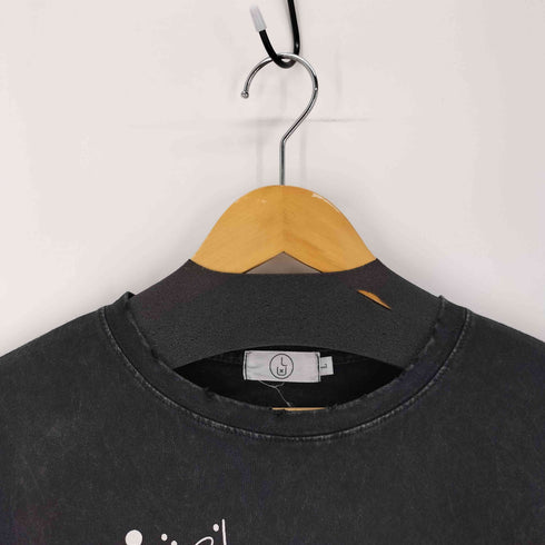 ダメージ加工キャラクタープリントS/S TEE ピグメント ウォッシュド レディース JPN:L