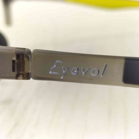 eyevol BERNSTEIN メンズ 49-24