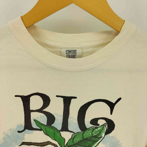 Big Apple T-Shirt ビッグアップル S/S バンド Tシャツ メンズ import:S