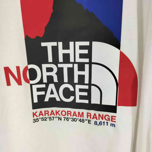 ザノースフェイス THE NORTH FACE L/S Karakoram Range Tee メンズ import:L