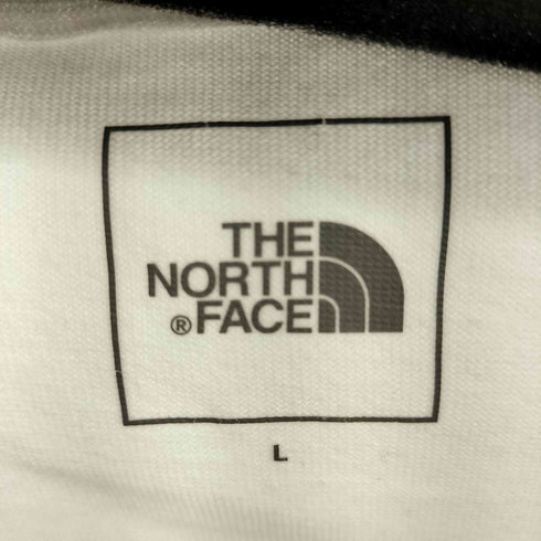 ザノースフェイス THE NORTH FACE L/S Karakoram Range Tee メンズ import:L