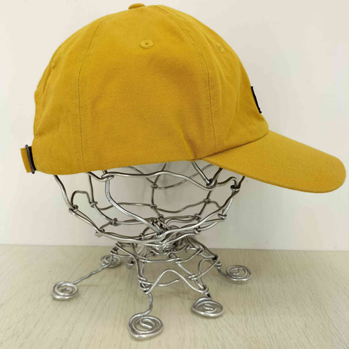 パタゴニア patagonia 21ss P-6 LABEL TRAD CAP トラッドキャップ メンズ