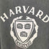 ザシンゾーン THE Shinzone HARVARD TEE レディース FREE