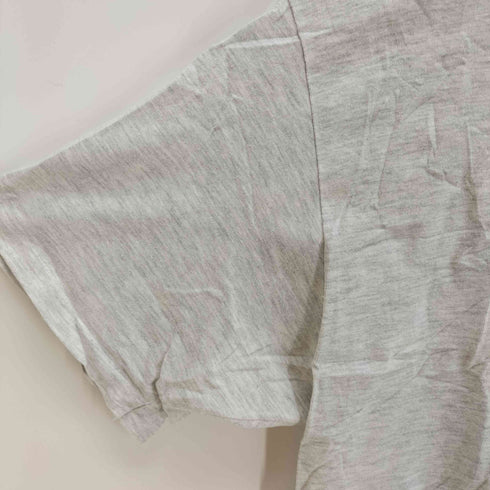 ヘインズ Hanes USA製 シングルステッチ USARカットソー メンズ JPN:XL