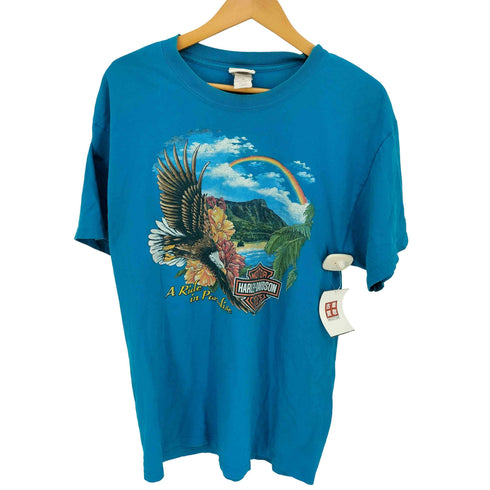 ハーレーダビッドソン HARLEY-DAVIDSON ⓒ2005 両面プリント ハワイ ホノルル クルーネックTシャツ メンズ import:L