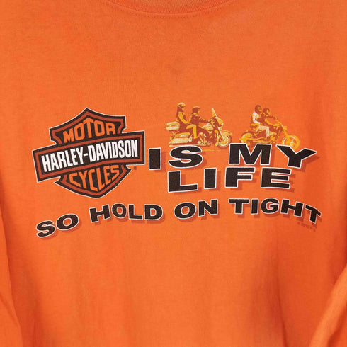 ハーレーダビッドソン HARLEY-DAVIDSON 両面プリント S/S Tシャツ メンズ 3XL